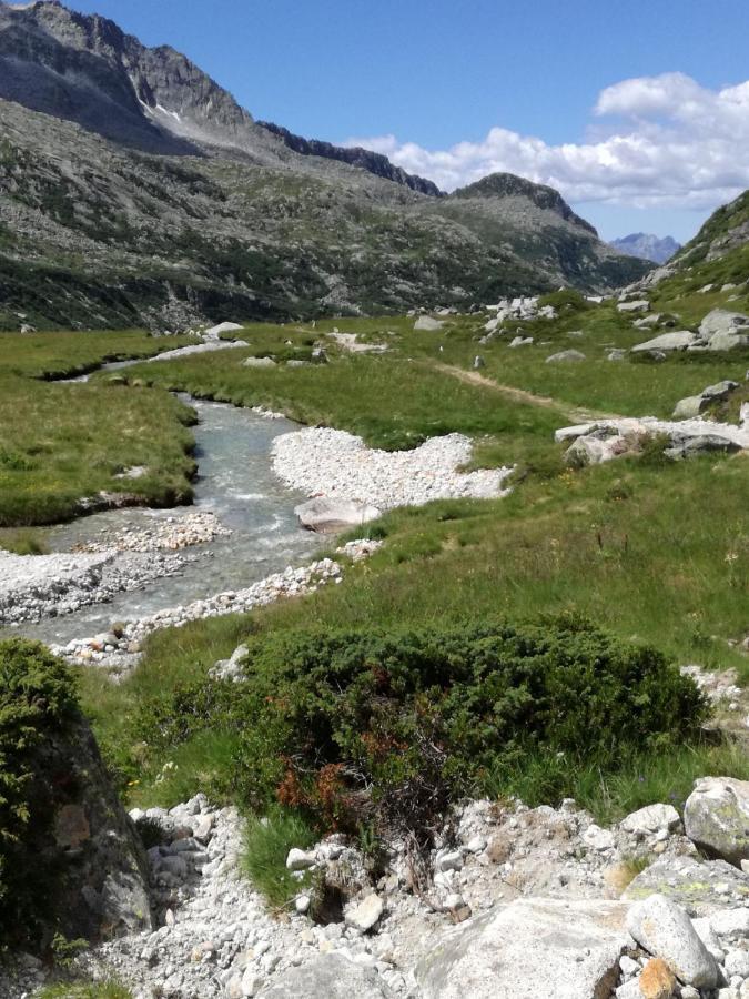 Rifugio Stella Alpina Hotel Saviore dell'Adamello Eksteriør billede