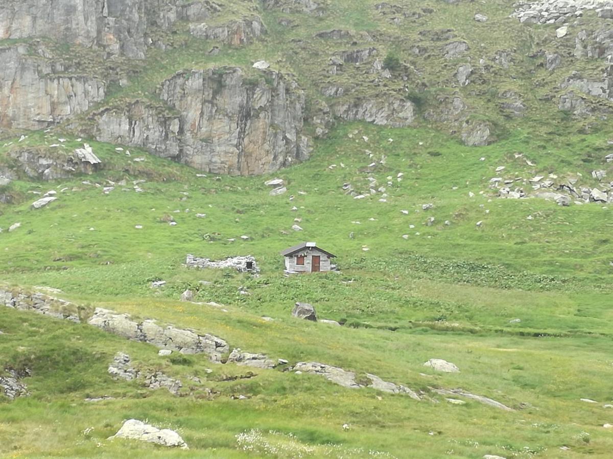 Rifugio Stella Alpina Hotel Saviore dell'Adamello Eksteriør billede